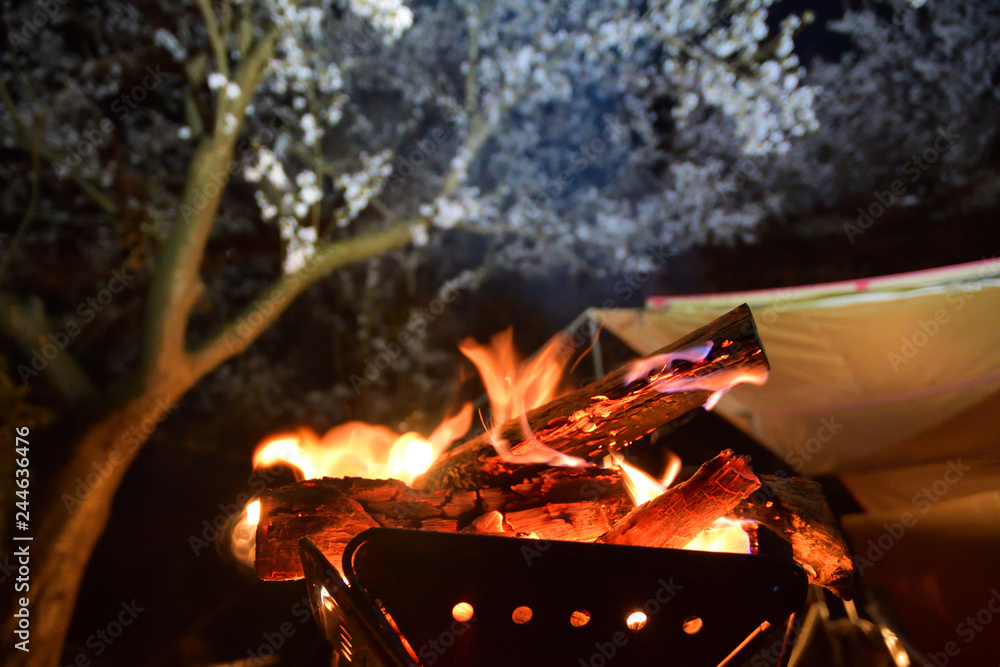 お花見キャンプと焚き火 Stock Photo Adobe Stock お花見キャンプと焚き火 Stock Photo Adobe Stock