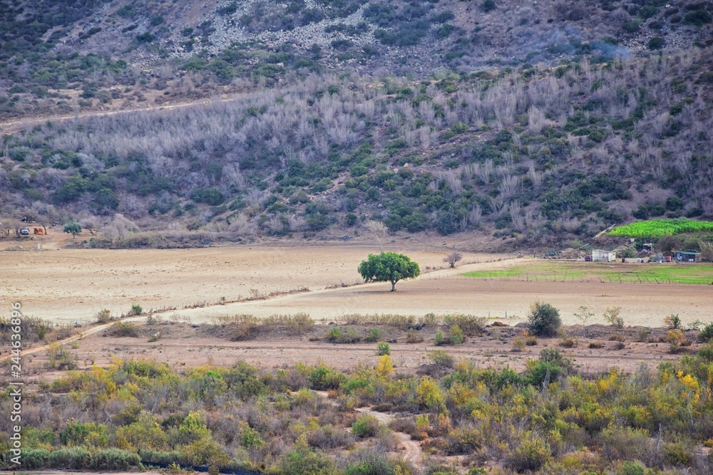 Fototapeta premium La Mision Valley landscapes and Beach in Mexico on the West Coast a small canyon near the Pacific Ocean that houses the Door of Faith and Buena Vida Orphanage, South of Tijuana, Mexico. 