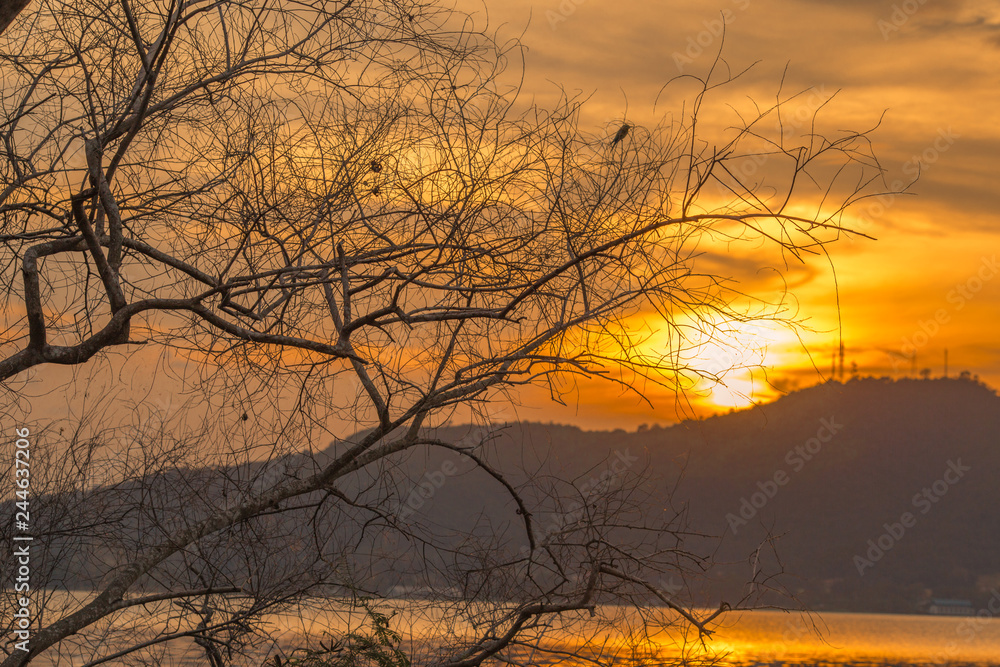 Obraz premium The background of the trees that stand on the lake or in the natural water source behind the mountains is surrounded and has a beautiful evening sky light, seen during travel.
