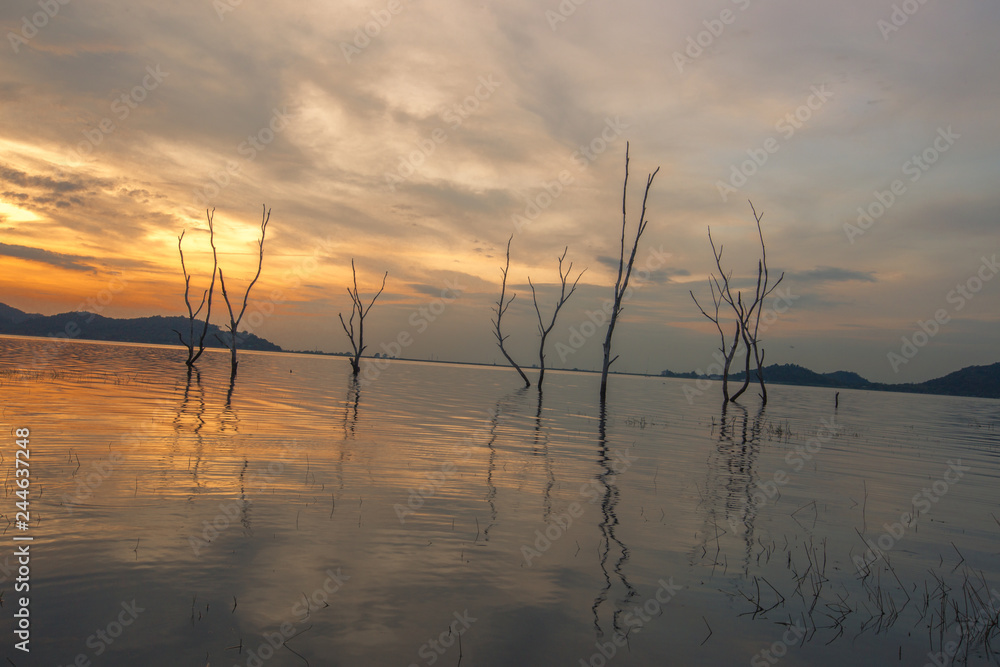 The background of the trees that stand on the lake or in the natural water source behind the mountains is surrounded and has a beautiful evening sky light, seen during travel. The background of the trees that stand on the lake or in the natural water source behind the mountains is surrounded and has a beautiful evening sky light, seen during travel.