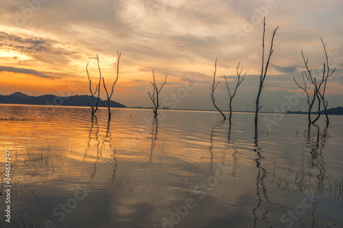 The background of the trees that stand on the lake or in the natural water source behind the mountains is surrounded and has a beautiful evening sky light, seen during travel.