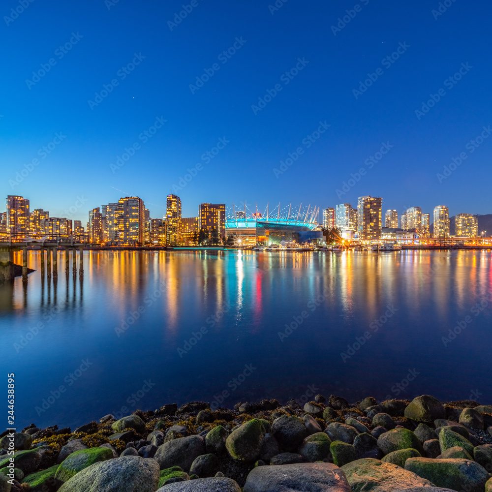 Fototapeta premium skyline at night