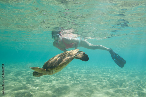 Woman Snorkeler swims with a cute sea turtle in clear shallow water