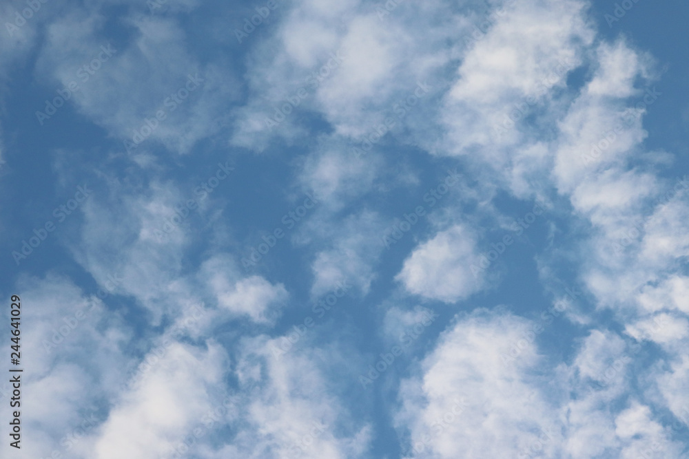 Fototapeta premium blue sky with white clouds