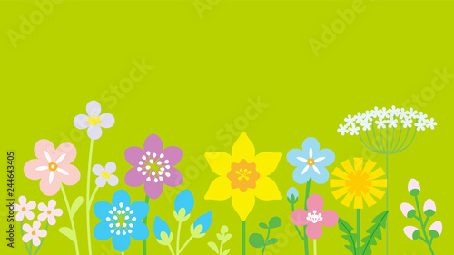 Lined up Colorful Wildflowers - Green color background