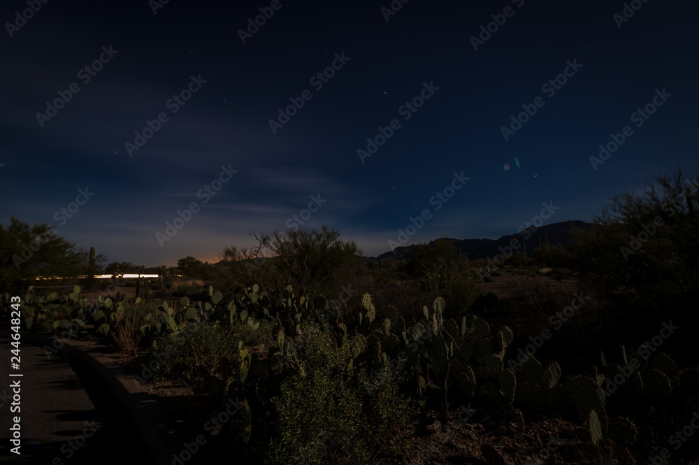 Moonlit Desert Scape Moonlit Desert Scape