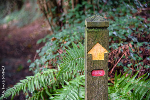 Single signpost without location. Picture taken during a hiking trip  somewhere in the Bodmin Moor.
