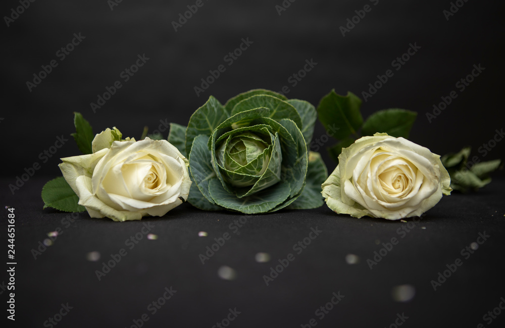 Fototapeta premium Cabbage and Rose Background