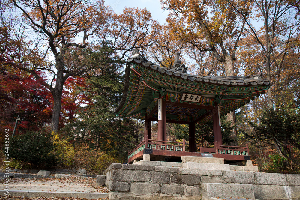 Changdeokgung Palace in Autumn in Seoul city, South Korea Changdeokgung Palace in Autumn in Seoul city, South Korea