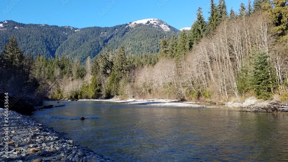 Mt Baker Nature Hike In the Winter