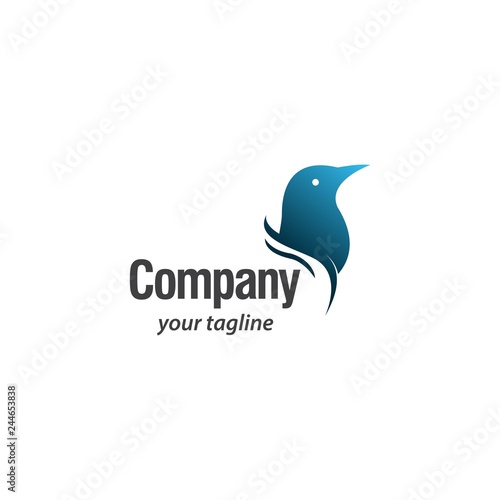 Bird Logo vector template