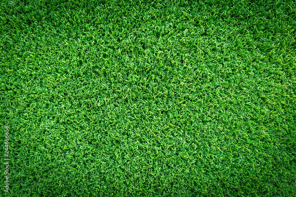 Obraz premium Grass texture background for golf course, soccer field or sports concept design. Artificial green grass.