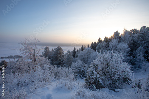 Winter landscape. Frosty sunny day in winter. Forest under white snow. © Sergei Malkov