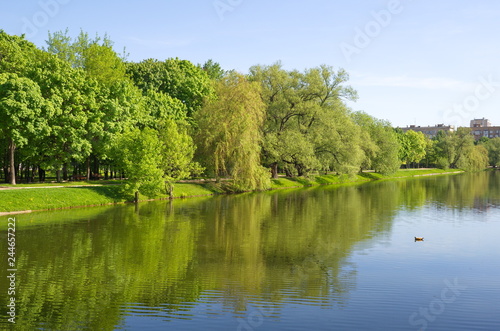 Fototapeta Naklejka Na Ścianę i Meble -  Spring view of the Big Novodevichy pond on a Sunny day. Moscow, Russia