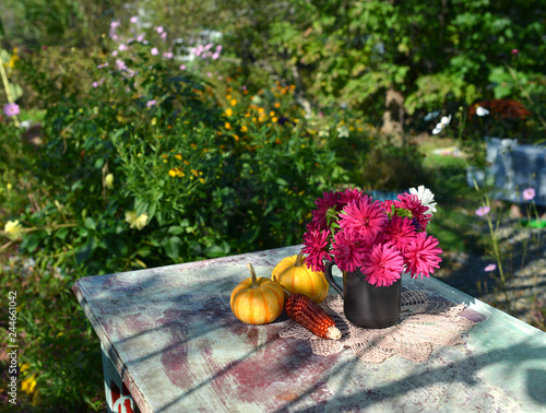 Garden table with bunch of autumn flowers, pumpkins and red corn. Summer and autumn nature vintage background in daylight outdoors with plants