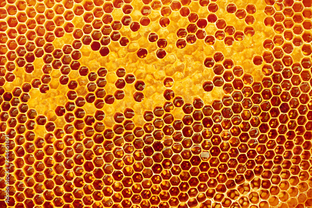 Yellow Honeycomb closeup background Yellow Honeycomb closeup background