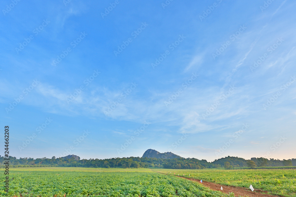 Beautiful cloud on blue sky in green field and mountains. Landscape scenery background.