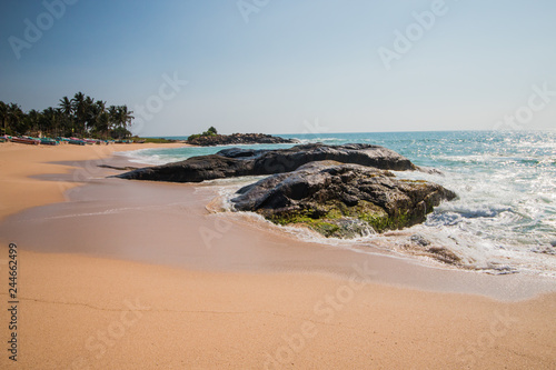 Untouched tropical beach with coconut palms. Tropical vacation  in Sri Lanka. Hikkaduwa. Ambalangoda. © datsko