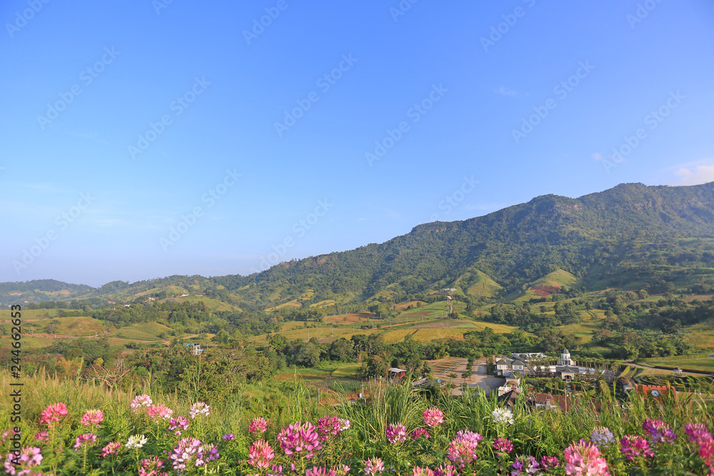 Beautiful landscape view of flower with blue sky mountain and village in Thailand. Beautiful landscape view of flower with blue sky mountain and village in Thailand.