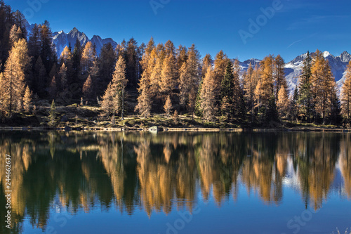 Adamello Brenta natural park  San Giuliano Lakes  Trentino Alto Adige  Italy