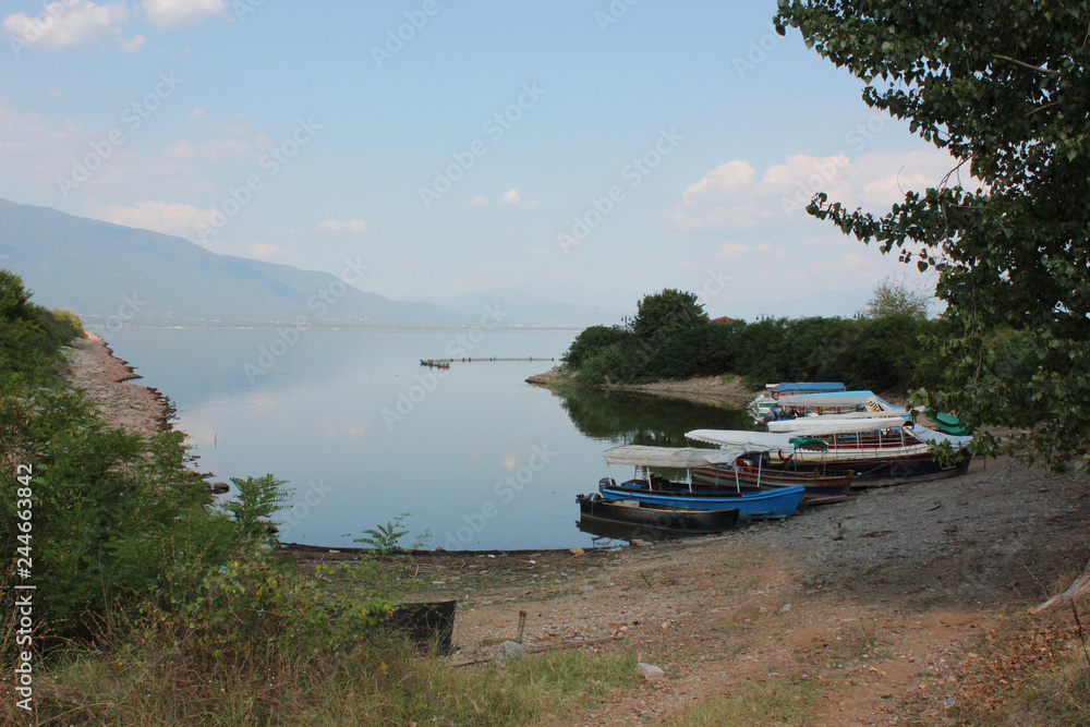 Naklejka premium Lake of Kerkini Serres Greece Europe