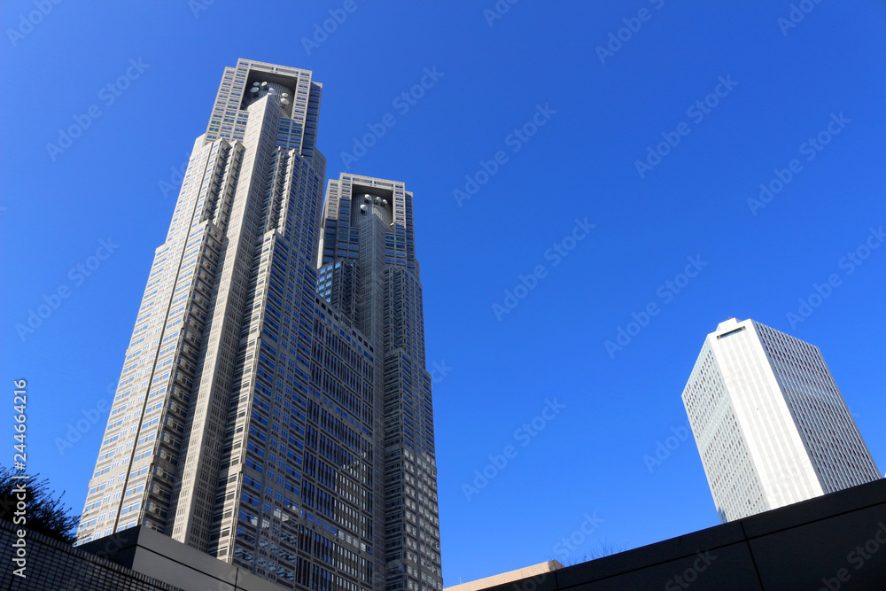 Naklejka premium Tokyo Metropolitan Government building in Shinjuku