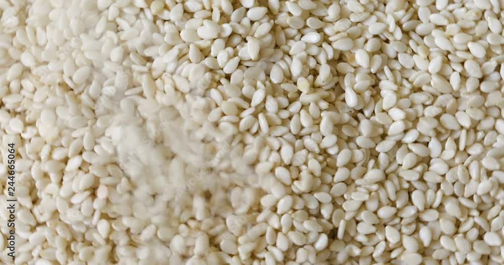 Close up white sesame , 4k resolution Close up white sesame , 4k resolution