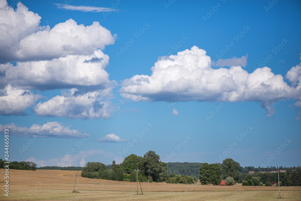 Rural landscape with rain storm over the meadow next to the forest. Agricultural background, harvest fields. Monsoon and thunder storm. Dramatic sky samples, dark clouds, heavy rain storm is coming