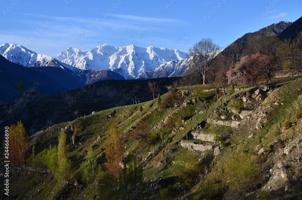 Foto Stock パキスタンのナンガパルバット近郊の村 アストール村のアストール渓谷 美しい雪山と棚田と杏の花 Adobe Stock Foto Stock パキスタンのナンガパルバット近郊の村 アストール村のアストール渓谷 美しい雪山と棚田と杏の花 Adobe Stock