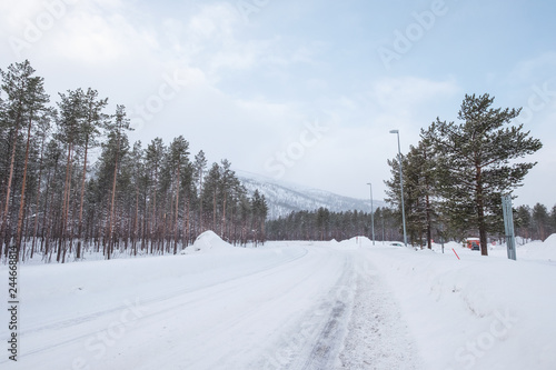 asphalt road covered snow with tree on sideway