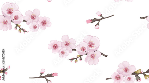 Handmade Seamless pattern in the Japanese style. Rose on white background. Flying sakura flowers. The idea of fabric, invitations, packaging, cards.