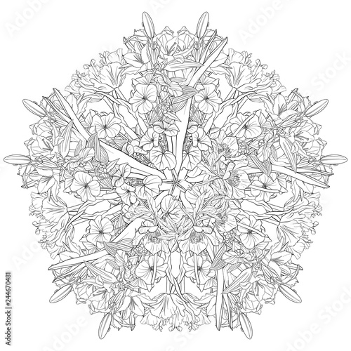 vector drawing flower of lily