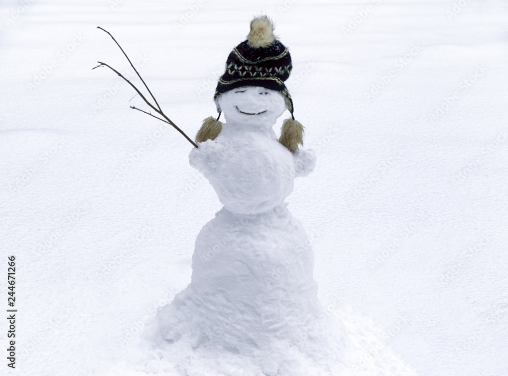 Obraz premium Snowman with hat