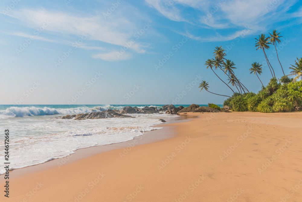 Untouched tropical beach with coconut palms. Tropical vacation  in Sri Lanka. Hikkaduwa. Ambalangoda.