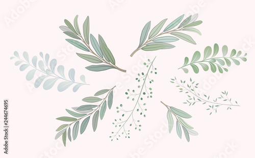 Set with beautiful twigs with leaves. Wedding ornament concept. Imitation of watercolor, isolated on white.