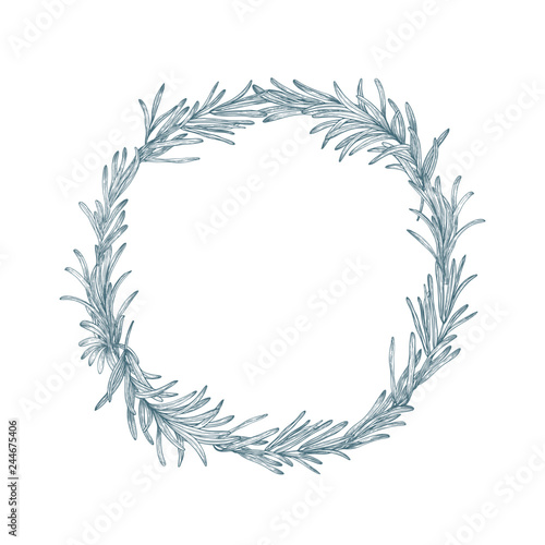 Circular decoration or wreath made of rosemary hand drawn with contour lines on white background
