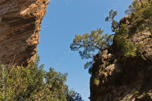 Vertical canyon walls at Lissos gorge near Sougia, south-west coast of Crete island, Greece © banepetkovic