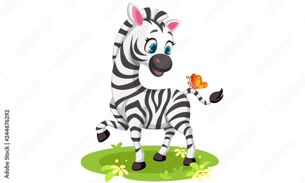 Fototapeta premium Baby Zebra vector illustration