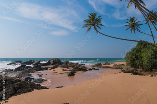 Untouched tropical beach with coconut palms. Tropical vacation in Sri Lanka. Hikkaduwa. Ambalangoda.
