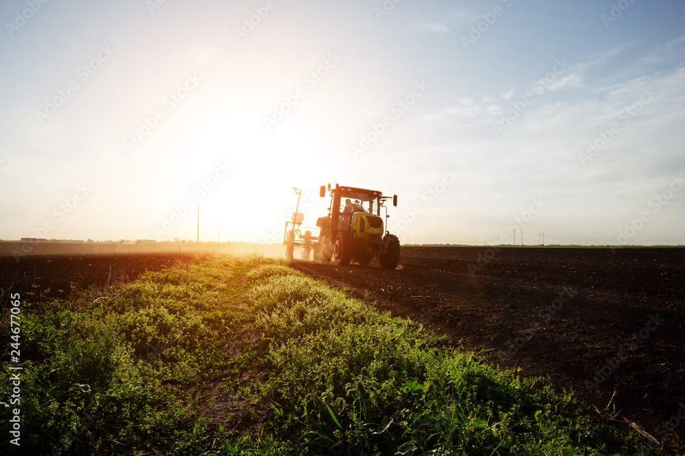 Fototapeta premium Farmer seeding crops at field. - Image