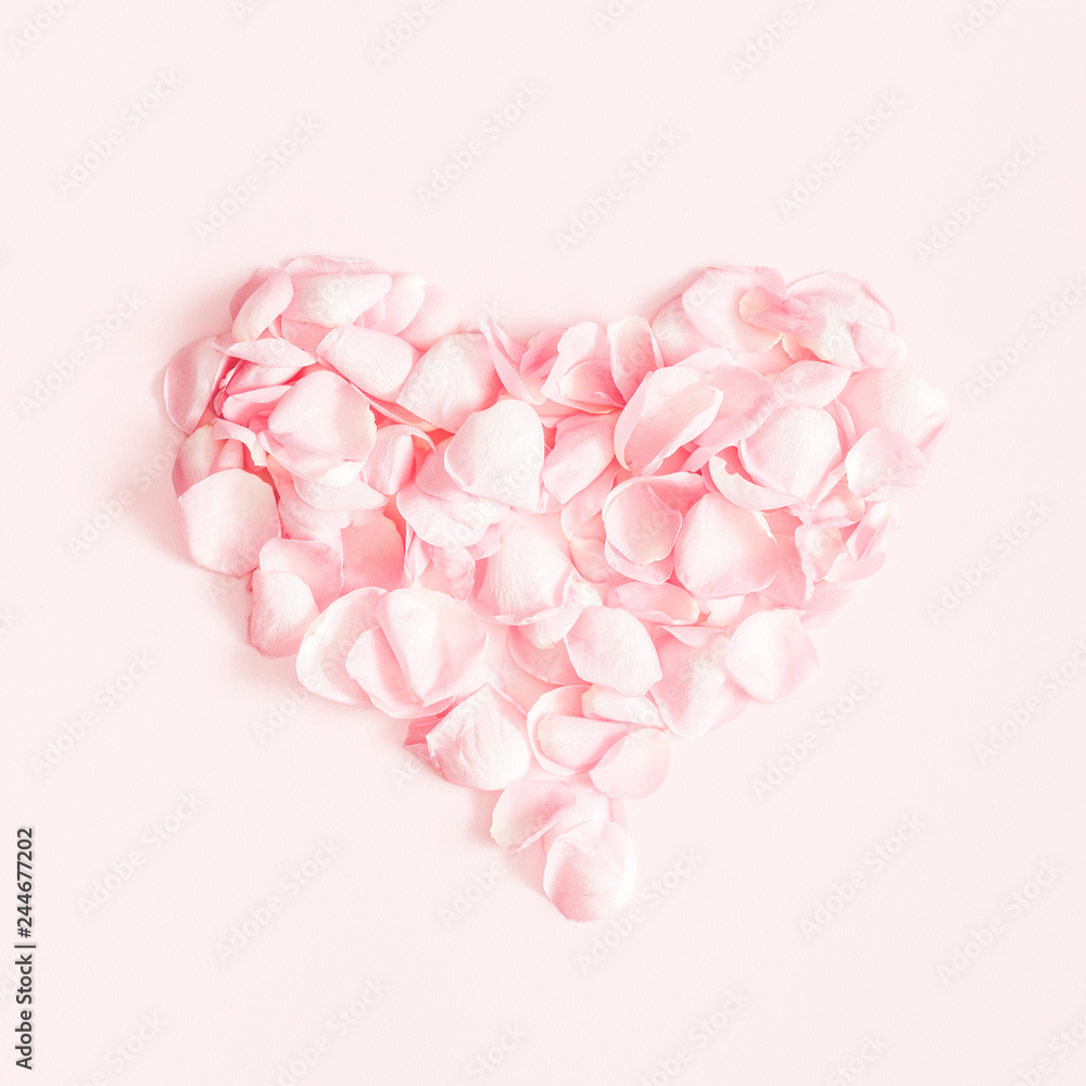 Flowers composition. Rose flower petals on pastel pink background. Valentine's Day, Mother's Day concept. Flat lay, top view, square