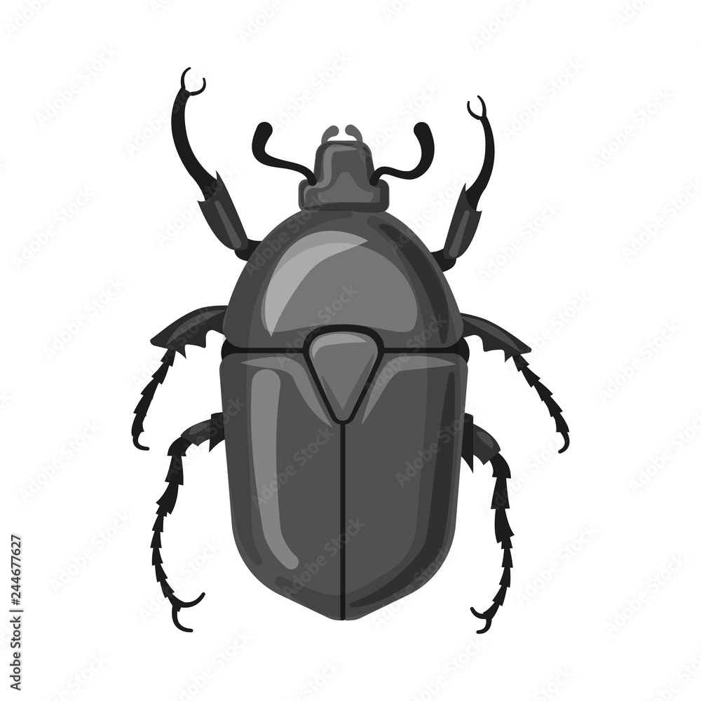 Vector illustration of insect and fly sign. Collection of insect and element stock symbol for web. Vector illustration of insect and fly sign. Collection of insect and element stock symbol for web.