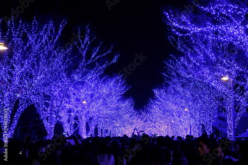 A blue light illumination at the Ao no Doukutsu(Blue cave), Shibuya, Tokyo, Japan photo