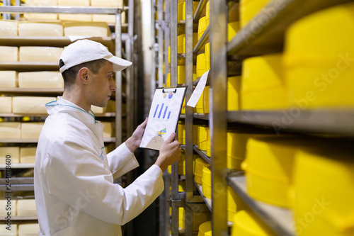 man with a graph in his hand checks the statistics in the cheese warehouse