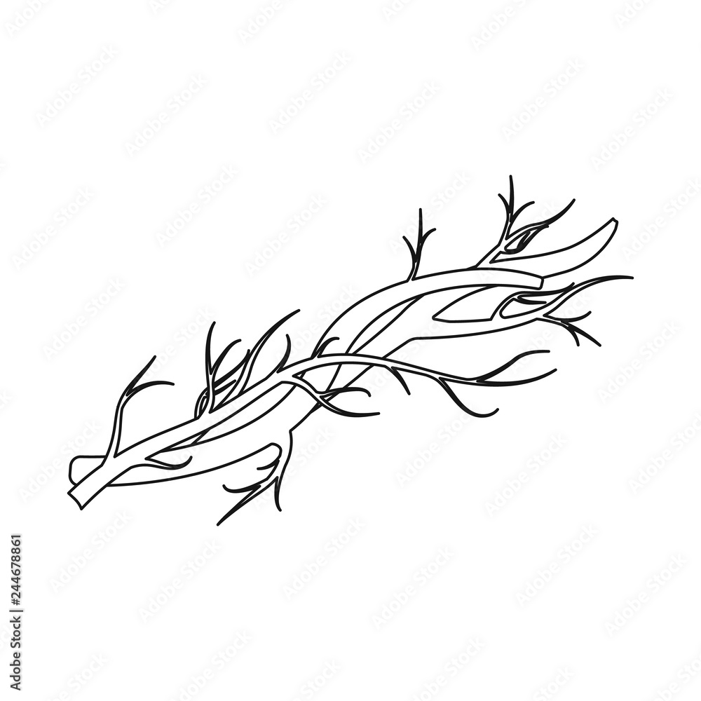 Isolated object of body and human icon. Collection of body and medical stock vector illustration. Isolated object of body and human icon. Collection of body and medical stock vector illustration.