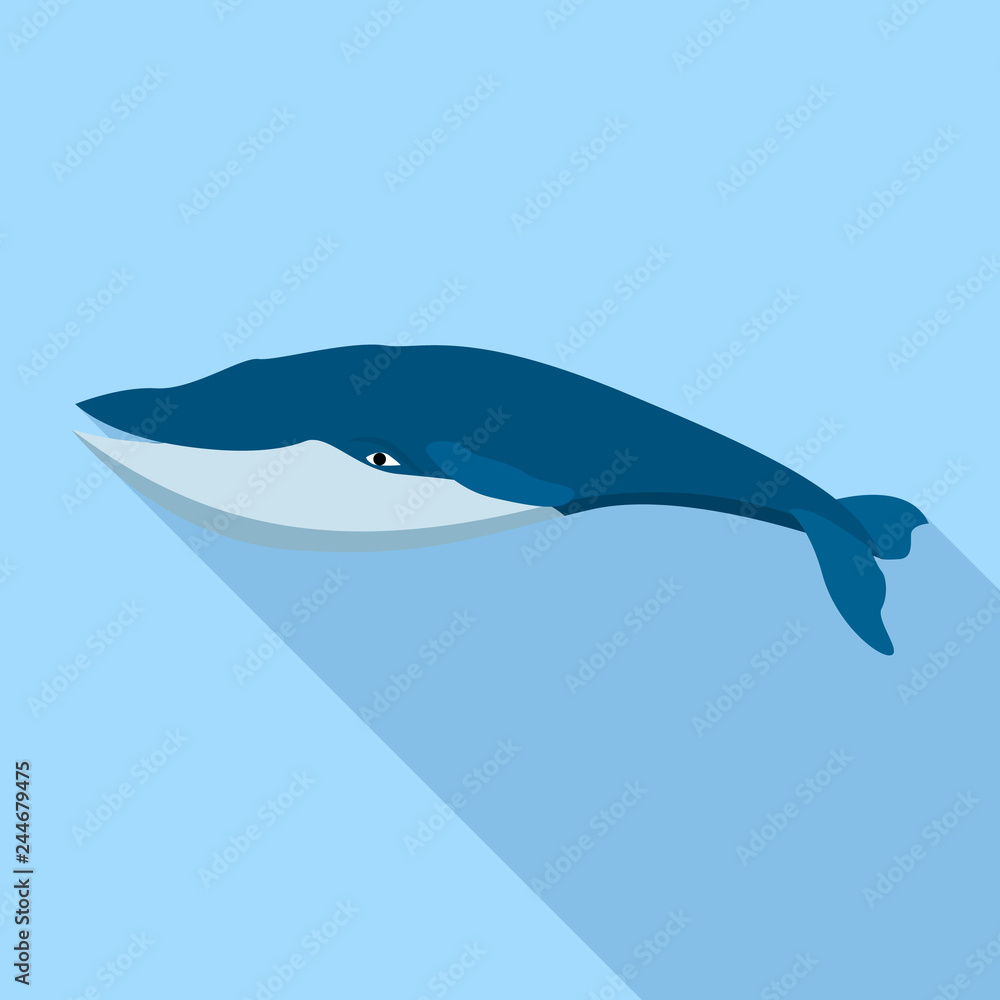 Obraz premium Fin whale icon. Flat illustration of fin whale vector icon for web design