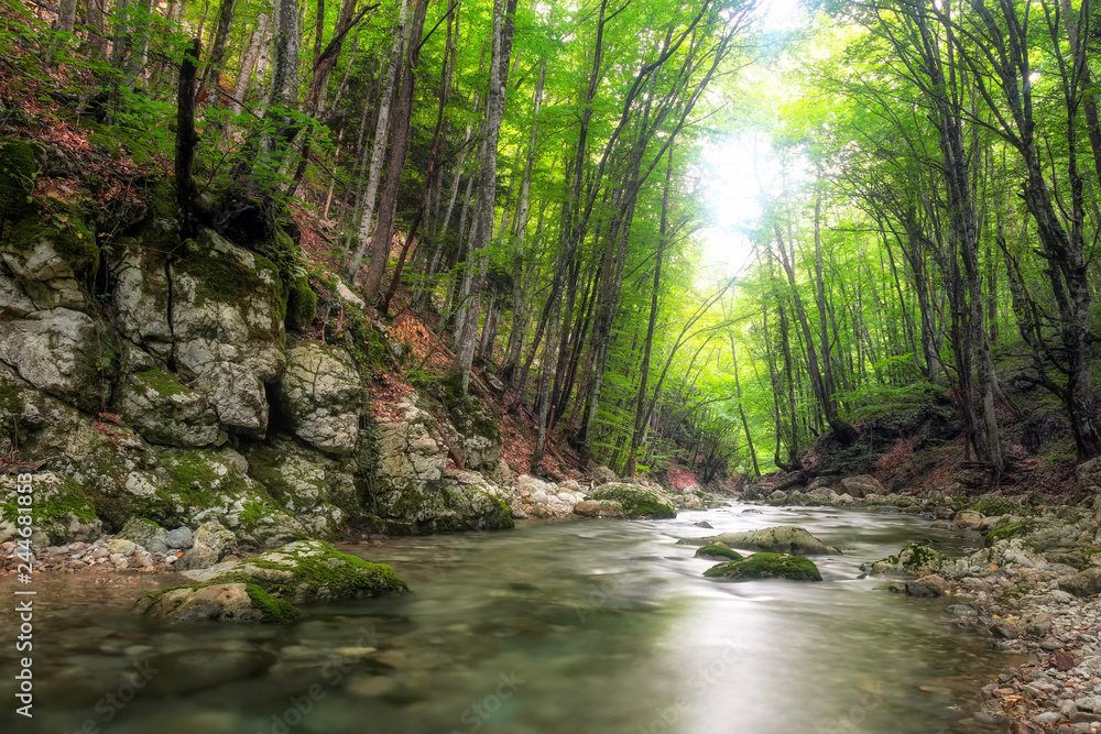 Fototapeta premium Rzeka głęboko w górskim lesie. Kompozycja natury