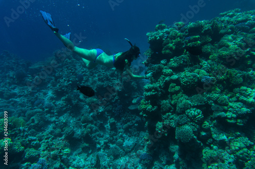 Young girl at snorkeling with fish in the tropical water. Traveling, active lifestyle concept.