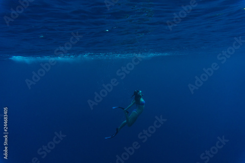 Active young female dancing underwater, enjoying summer vacation in blue transparent water, dive to the bottom of sea. Enjoyment and freedom concept © F8  \ Suport Ukraine