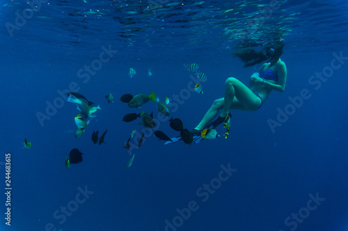 Young woman snorkeling masks dive deep underwater feeding tropical fishes in coral reef sea pool. Travel lifestyle  outdoor water sport adventure  swimming lessons on summer beach vacation